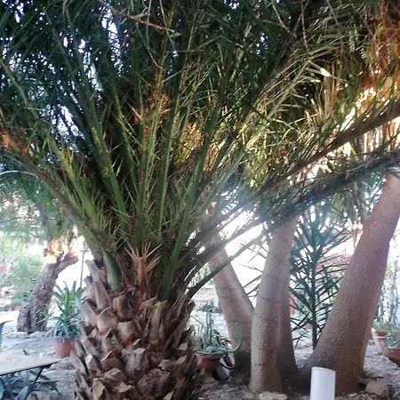 Loger Le Soleil Lägenhet