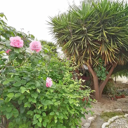 Loger Le Soleil Trani