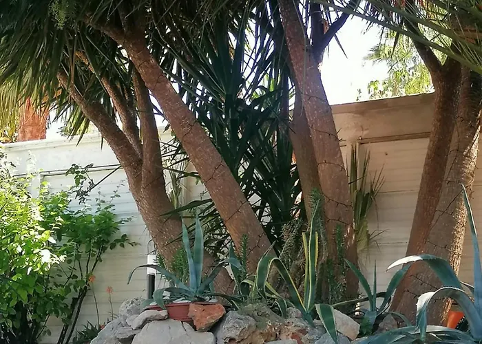 公寓 Loger Le Soleil 特拉尼